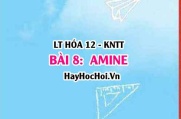 Khái niệm Amine? Tính chất hóa học của Amine, tính chất vật lí, điều chế và ứng dụng Amine? Hóa 12 bài 8 KNTT